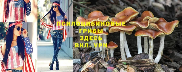 стафф Яровое