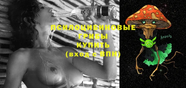 мдпв Коряжма