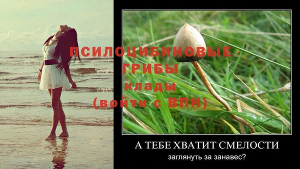 мдпв Коряжма