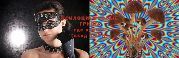 мдпв Коряжма