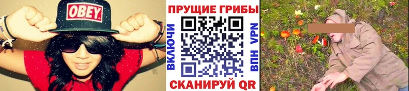 Галлюциногенные грибы мицелий  Химки 