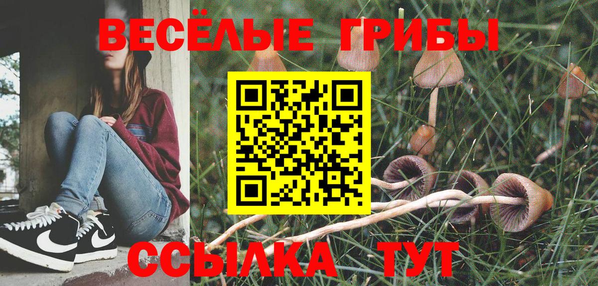 Псилоцибиновые грибы Magic Shrooms Химки